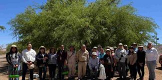 Lomas Bayas y comunidad cosechan los frutos del algarrobo