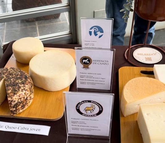 Los mejores quesos artesanos de Chile se harán presentes en Espacio Food & Service