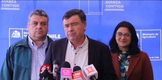 Ministerio de Agricultura destaca caída de precios de proteínas y llama a consumir productos de la temporada
