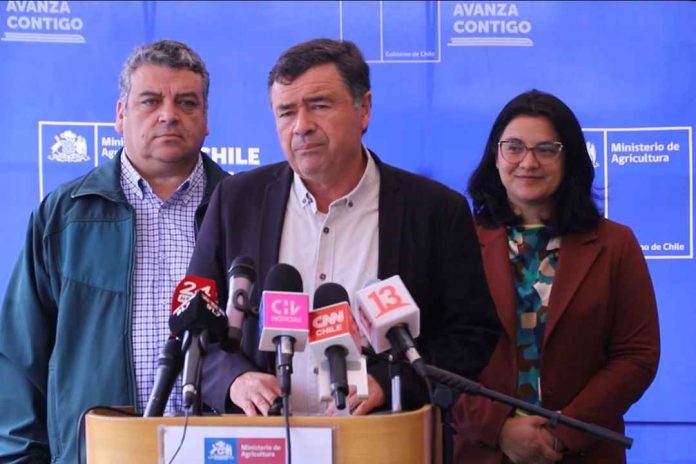 Ministerio de Agricultura destaca caída de precios de proteínas y llama a consumir productos de la temporada
