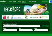 Portal de Empleo Agro: nueva plataforma gratuita facilita la contratación de trabajadores en el sector agrícola