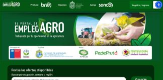 Portal de Empleo Agro: nueva plataforma gratuita facilita la contratación de trabajadores en el sector agrícola
