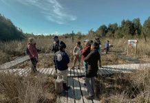 Programa Viraliza de Corfo impulsa iniciativa