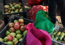 Programa de Fundación Basura y BASF Recuperan 6 toneladas de alimentos para comedores solidarios y reciclaje de Quinta Normal y Quintero