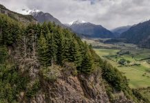 Proyecto Patagonia la inédita iniciativa verde que CMPC presentó en la COP sobre Biodiversidad