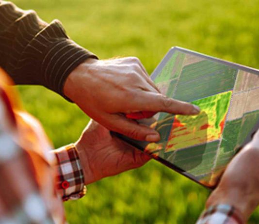 Syngenta y Entel Digital impulsan la sustentabilidad y la digitalización de la agricultura en Chile