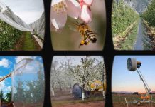 Tecnología para una agricultura inteligente