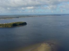 Ulagos desarrolla estudios sobre floraciones algales nocivas en el Seno del Reloncaví y ecosistema hídrico del Río Maullín