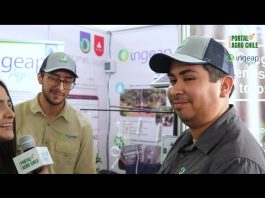 Preferencia por sucursales físicas se mantiene en la era digital