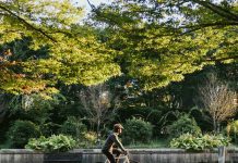 Arcadis publica Nature Positive