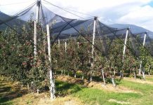 Arrigoni muestra en Eima las soluciones más innovadoras para la protección de cultivos agrícolas