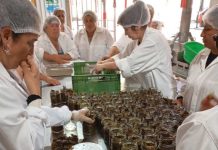 CDTA UdeC potencia capacidades de agregación de valor en algueras de Tomé