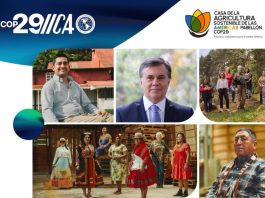 ¡Comienza la COP 29!