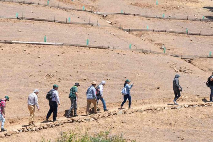 Chile impulsa a nivel Latinoamericano técnicas en rehabilitación de suelos y cuencas hidrográficas