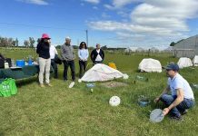 Científicos del Cono Sur de América proyectan desarrollo tecnológico y sostenible del agro en Puerto Varas