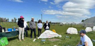 Científicos del Cono Sur de América proyectan desarrollo tecnológico y sostenible del agro en Puerto Varas