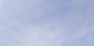 Ciren y Odepa lanzan Catastros Frutícolas en las regiones de Coquimbo, Atacama y O´Higgins