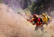 Gobierno lanza plan nacional de cortafuegos para construir más de 3.700 kilómetros de zanjas entre Tarapacá y Magallanes que buscan prevenir incendios