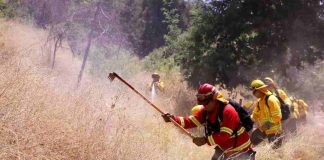Gobierno lanza plan nacional de cortafuegos para construir más de 3.700 kilómetros de zanjas entre Tarapacá y Magallanes que buscan prevenir incendios