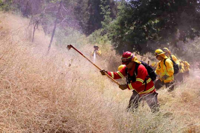 Gobierno lanza plan nacional de cortafuegos para construir más de 3.700 kilómetros de zanjas entre Tarapacá y Magallanes que buscan prevenir incendios
