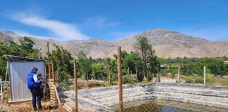 Pequeña agricultora de Peralillo afirma que tranque bonificado por la CNR “permite acumular el agua y organizarme para regar”
