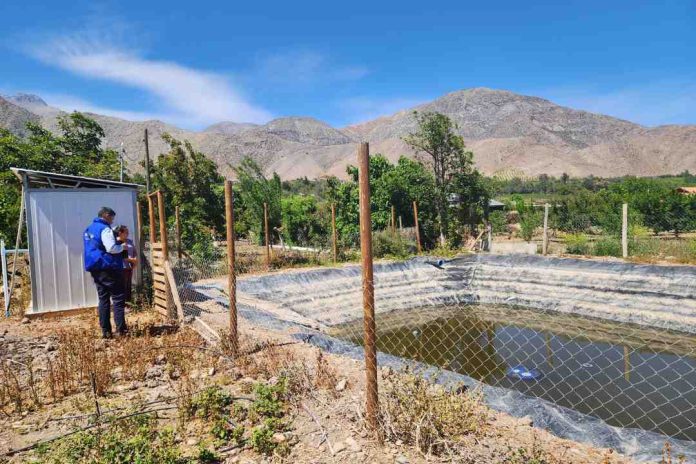 Pequeña agricultora de Peralillo afirma que tranque bonificado por la CNR “permite acumular el agua y organizarme para regar”