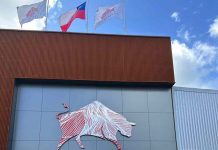 Ingenieros en formación de Adolfo Matthei conocieron más sobre procesos productivos de la industria de la carne en visita al Frigorífico Osorno