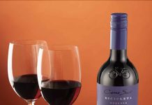 Merlot: Consejos para disfrutarlo al máximo