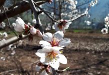 Panorama Agroclimático Estacional | Minagri invita a conocer cómo viene la temporada estival y prepararse frente a ella