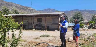 1 de 1 Pequeño agricultor mejora eficiencia hídrica con desarrollo de proyecto bonificado por la Ley de Riego