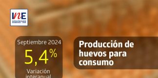 Producción de huevos de consumo presentó un aumento interanual de 5,4% en septiembre de 2024