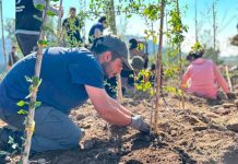 Restauración ecológica y movilización comunitaria: Frente de Río transforma la ribera del Mapocho en Talagante Restauración ecológica y movilización comunitaria: Frente de Río transforma la ribera del Mapocho en Talagante