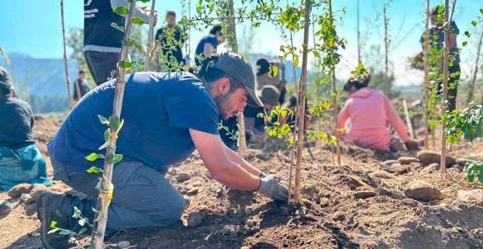 Restauración ecológica y movilización comunitaria: Frente de Río transforma la ribera del Mapocho en Talagante