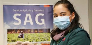 SAG comparte recomendaciones para tus compras navideñas en el extranjero 