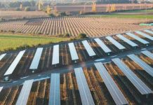 SERC Chile impulsa en el país el primer proyecto en latinoamérica que utiliza energía agrovoltaica