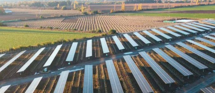 SERC Chile impulsa en el país el primer proyecto en latinoamérica que utiliza energía agrovoltaica