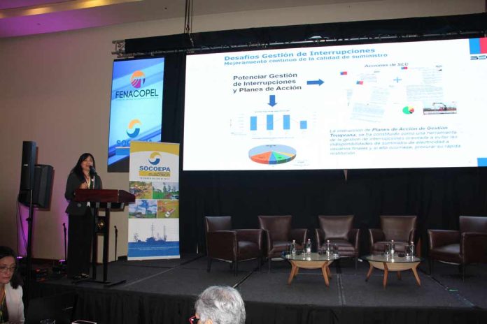 Seminario del Sector Cooperativo Eléctrico 2024