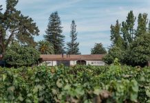 VIÑA VIU MANENT DESTACADA ENTRE LOS MEJORES 20 VIÑEDOS DEL MUNDO
