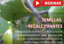 Webinar Gratuito de Semillas Recalcitrantes