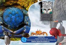 Zoólogos de Chile y el mundo se reunirán en Talca para el primer congreso de la disciplina