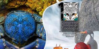 Zoólogos de Chile y el mundo se reunirán en Talca para el primer congreso de la disciplina