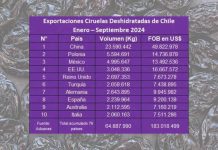 Exportaciones de ciruelas deshidratadas chilenas alcanzan, a septiembre, US$ 183 millones 