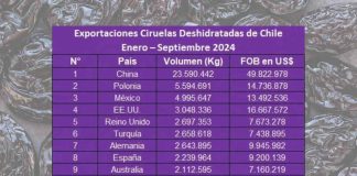 Exportaciones de ciruelas deshidratadas chilenas alcanzan, a septiembre, US$ 183 millones 