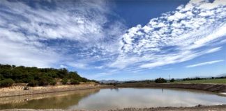 Agua Segura para el futuro de Curacaví Cosechando abundancia