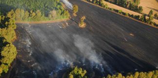 CONAF decreta restricción para el uso del fuego en nueve regiones del país