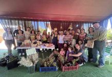 CONAF y FAO fortalecen liderazgo femenino en la gestión de los bosques