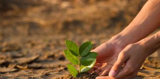 Cambio Climático: Expertos advierten empeoramiento del escenario hídrico en la Región de Valparaíso y plantean estrategias en el corto, mediano y largo plazo