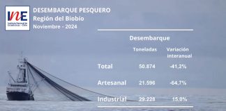 Desembarque pesquero de la Región del Biobío totalizó 50.874 toneladas en noviembre de 2024
