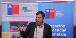 El 36% de la superficie total de la región de O`Higgins corresponde al sub uso de bosque nativo y plantaciones forestales