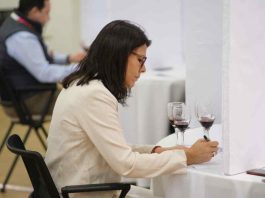 Especialistas analizan los desafíos y oportunidades del vino chileno en el mercado global
